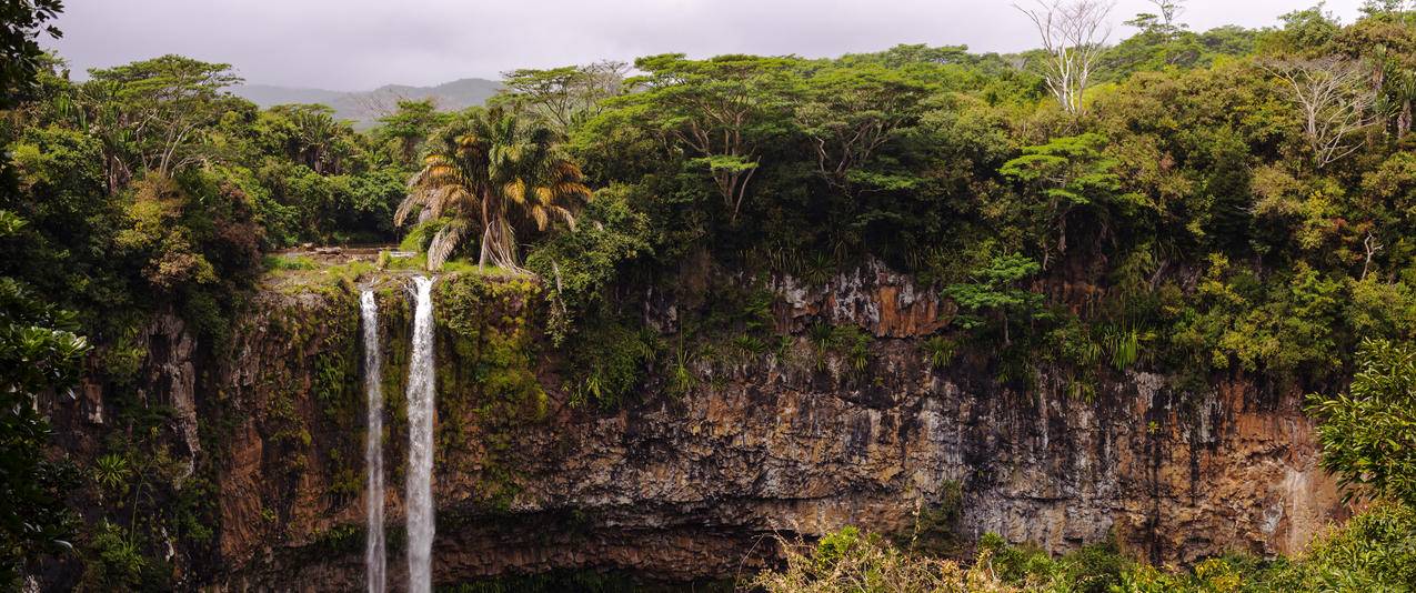 毛里求斯丛林瀑布热带风景带鱼屏壁纸