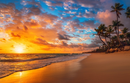 海边沙滩夕阳黄昏沙椰树风景4k游戏壁纸