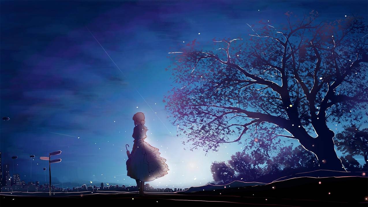 紫罗兰永恒花园少女俯瞰城市夜景高清壁纸